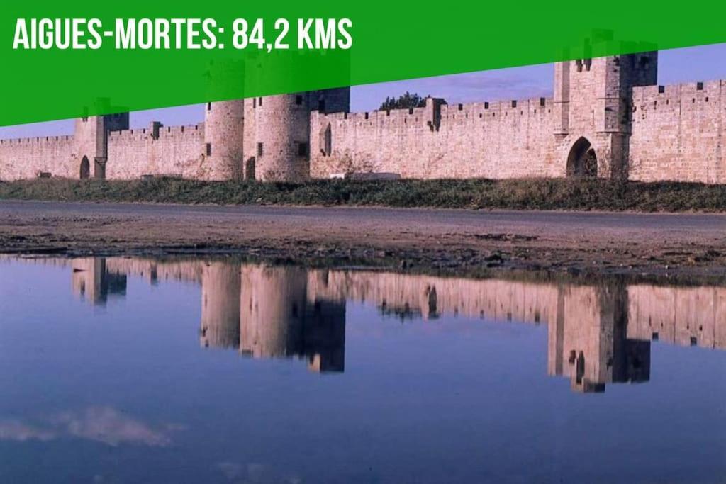 La Cachette De L'Horloge - Ac Clim - Wifi - 100M Palais Des Papes Apartment Авиньон Екстериор снимка