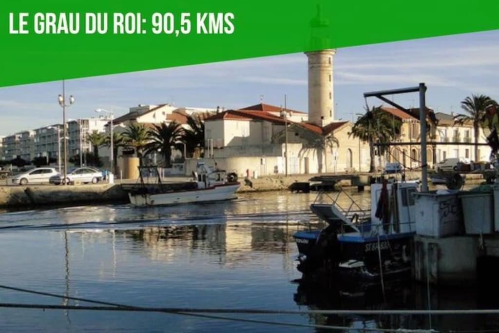 La Cachette De L'Horloge - Ac Clim - Wifi - 100M Palais Des Papes Apartment Авиньон Екстериор снимка